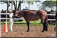 4H-2nd-10__0519.jpg