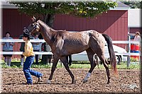 4H-2nd-10__0520.jpg