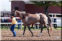 4H-2nd-10__0521.jpg