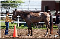 4H-2nd-10__0523.jpg