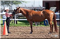 4H-2nd-10__0526.jpg