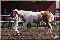 4H-2nd-10__0528.jpg