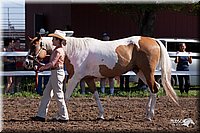 4H-2nd-10__0529.jpg