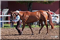 4H-2nd-10__0531.jpg