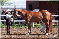 4H-2nd-10__0533.jpg