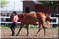 4H-2nd-10__0536.jpg