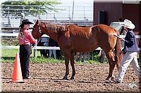 4H-2nd-10__0537.jpg