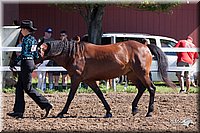 4H-2nd-10__0538.jpg