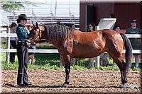 4H-2nd-10__0539.jpg