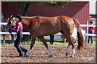 4H-2nd-10__0540.jpg
