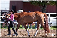 4H-2nd-10__0541.jpg