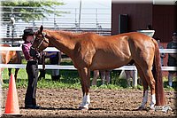 4H-2nd-10__0542.jpg