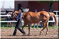 4H-2nd-10__0544.jpg