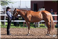 4H-2nd-10__0545.jpg