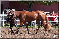 4H-2nd-10__0546.jpg