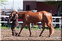 4H-2nd-10__0547.jpg