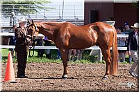 4H-2nd-10__0548.jpg