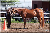 4H-2nd-10__0549.jpg
