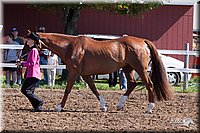 4H-2nd-10__0550.jpg