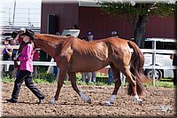 4H-2nd-10__0551.jpg