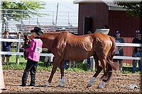 4H-2nd-10__0552.jpg