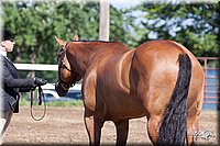 4H-2nd-10__0568.jpg