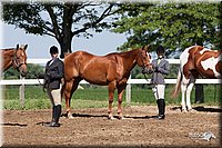 4H-2nd-10__0573.jpg