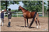 4H-2nd-10__0574.jpg