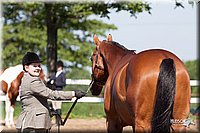 4H-2nd-10__0581.jpg