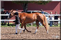 4H-2nd-10__0582.jpg