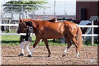 4H-2nd-10__0584.jpg