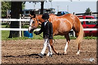 4H-2nd-10__0585.jpg