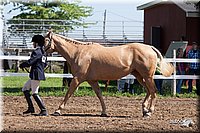 4H-2nd-10__0588.jpg