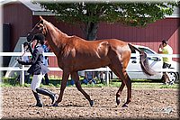 4H-2nd-10__0589.jpg