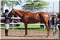 4H-2nd-10__0591.jpg