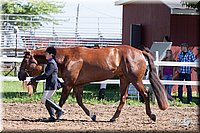 4H-2nd-10__0592.jpg