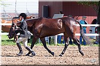 4H-2nd-10__0596.jpg