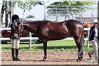 4H-2nd-10__0599.jpg