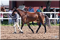 4H-2nd-10__0600.jpg