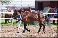4H-2nd-10__0601.jpg