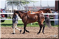 4H-2nd-10__0602.jpg