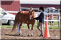 4H-2nd-10__0604.jpg