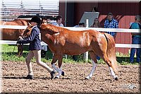 4H-2nd-10__0606.jpg