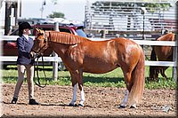 4H-2nd-10__0608.jpg