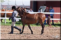 4H-2nd-10__0609.jpg