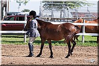 4H-2nd-10__0610.jpg