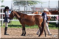 4H-2nd-10__0611.jpg