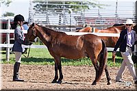4H-2nd-10__0612.jpg