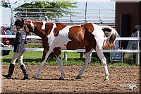 4H-2nd-10__0613.jpg