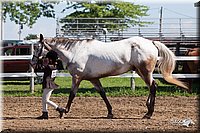 4H-2nd-10__0616.jpg